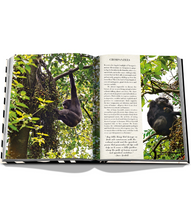 Load image into Gallery viewer, African Adventures