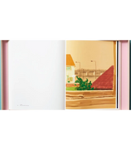 Load image into Gallery viewer, David Hockney. My Window