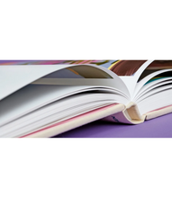 Load image into Gallery viewer, David Hockney. My Window