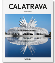 Load image into Gallery viewer, Calatrava