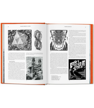 Load image into Gallery viewer, The Magic Mirror of M.C. Escher