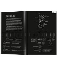 Load image into Gallery viewer, BIG. Formgiving. An Architectural Future History