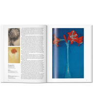 Load image into Gallery viewer, Mondrian