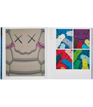 Load image into Gallery viewer, Kaws 2023