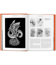 Load image into Gallery viewer, The Magic Mirror of M.C. Escher