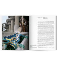 Load image into Gallery viewer, Gaudi