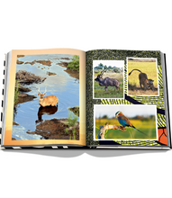 Load image into Gallery viewer, African Adventures