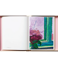 Load image into Gallery viewer, David Hockney. My Window