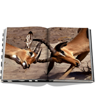 Load image into Gallery viewer, African Adventures