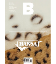 Load image into Gallery viewer, Issue No.26 Hansa Toy