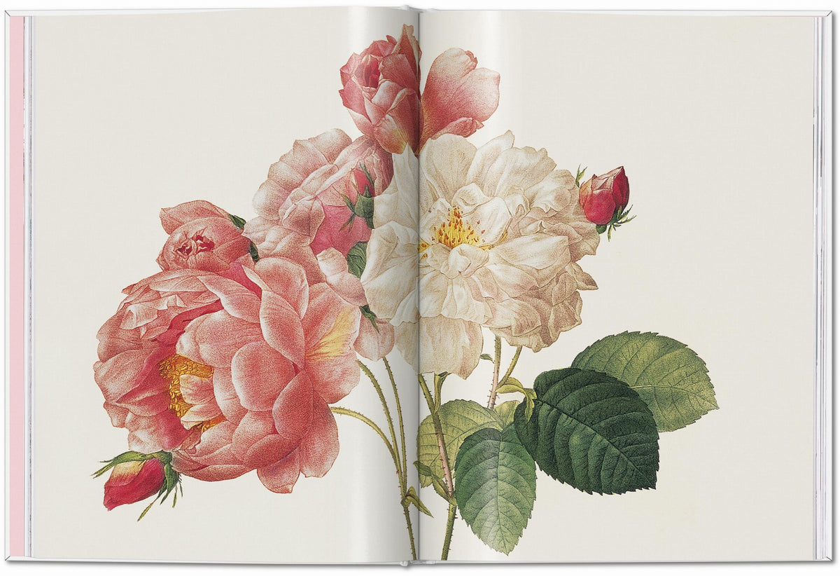 Redouté. Roses – Art&Science