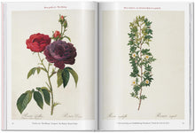 Load image into Gallery viewer, Redouté. Roses