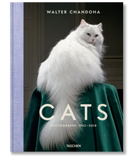 Load image into Gallery viewer, Walter Chandoha. Cats. Photographs 1942–2018
