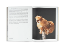 Load image into Gallery viewer, Art Book - Salt, Cheese, Chicken, Tomato, and Rice