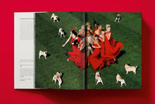 Load image into Gallery viewer, Valentino. A Grand Italian Epic