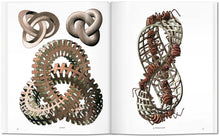 Load image into Gallery viewer, M.C. Escher. The Graphic Work