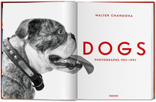 Load image into Gallery viewer, Walter Chandoha. Dogs. Photographs 1941–1991