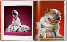 Load image into Gallery viewer, Walter Chandoha. Dogs. Photographs 1941–1991