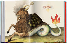 Load image into Gallery viewer, Astrology The Library Of Esoterica