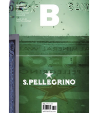 Load image into Gallery viewer, S.Pellegrino bottle with green label on a white background