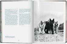 Load image into Gallery viewer, Walter Chandoha. Cats. Photographs 1942–2018