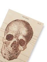 Load image into Gallery viewer, Skeleton Greeting Card