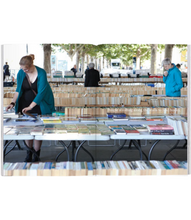 Load image into Gallery viewer, Issue No.10 Penguin