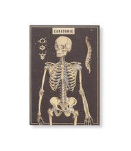 Load image into Gallery viewer, The Skull Greeting Card