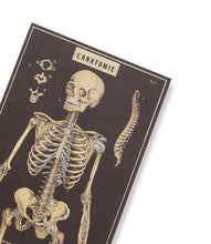 Load image into Gallery viewer, The Skull Greeting Card