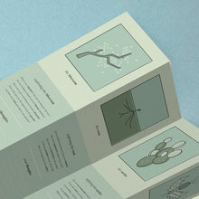 Load image into Gallery viewer, The Oracle