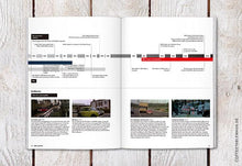 Load image into Gallery viewer, Issue No.79 Mini