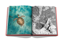 Load image into Gallery viewer, St Barths Freedom