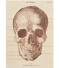 Load image into Gallery viewer, Skeleton Greeting Card