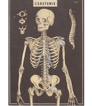 Load image into Gallery viewer, The Skull Greeting Card