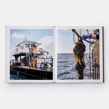 Load image into Gallery viewer, Core