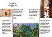 Load image into Gallery viewer, Issue No.08 Honey