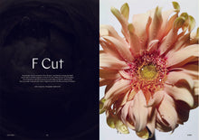 Load image into Gallery viewer, Issue No.08 Honey