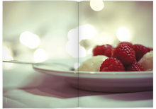 Load image into Gallery viewer, Issue No.47 Haagen Dazs