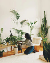 Load image into Gallery viewer, The Worlds Best Shops