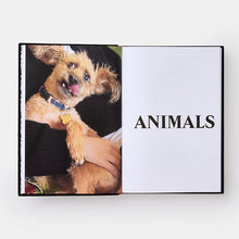 Load image into Gallery viewer, Palace Product Descriptions