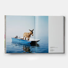 Load image into Gallery viewer, Paola Pivi