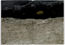 Load image into Gallery viewer, Issue No.22 Vibram