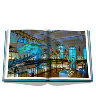 Load image into Gallery viewer, ASSOULINE MONTE CARLO
