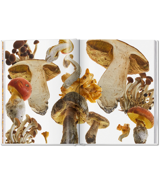 The Gourmands Mushroom A Collection Of Stories & Recipes