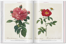 Load image into Gallery viewer, Redouté. Roses
