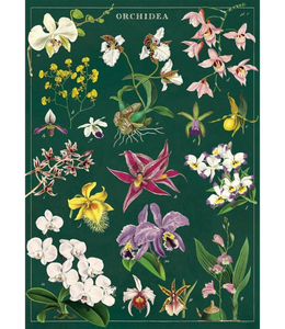 Cavallini ORCHID WRAP PAPER