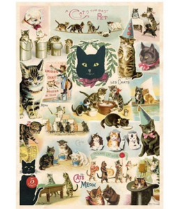Cat Collage Wrap