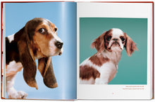 Load image into Gallery viewer, Walter Chandoha. Dogs. Photographs 1941–1991
