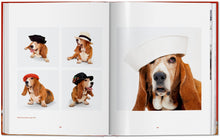 Load image into Gallery viewer, Walter Chandoha. Dogs. Photographs 1941–1991
