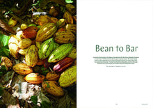 Load image into Gallery viewer, Issue No.06 Chocolate
